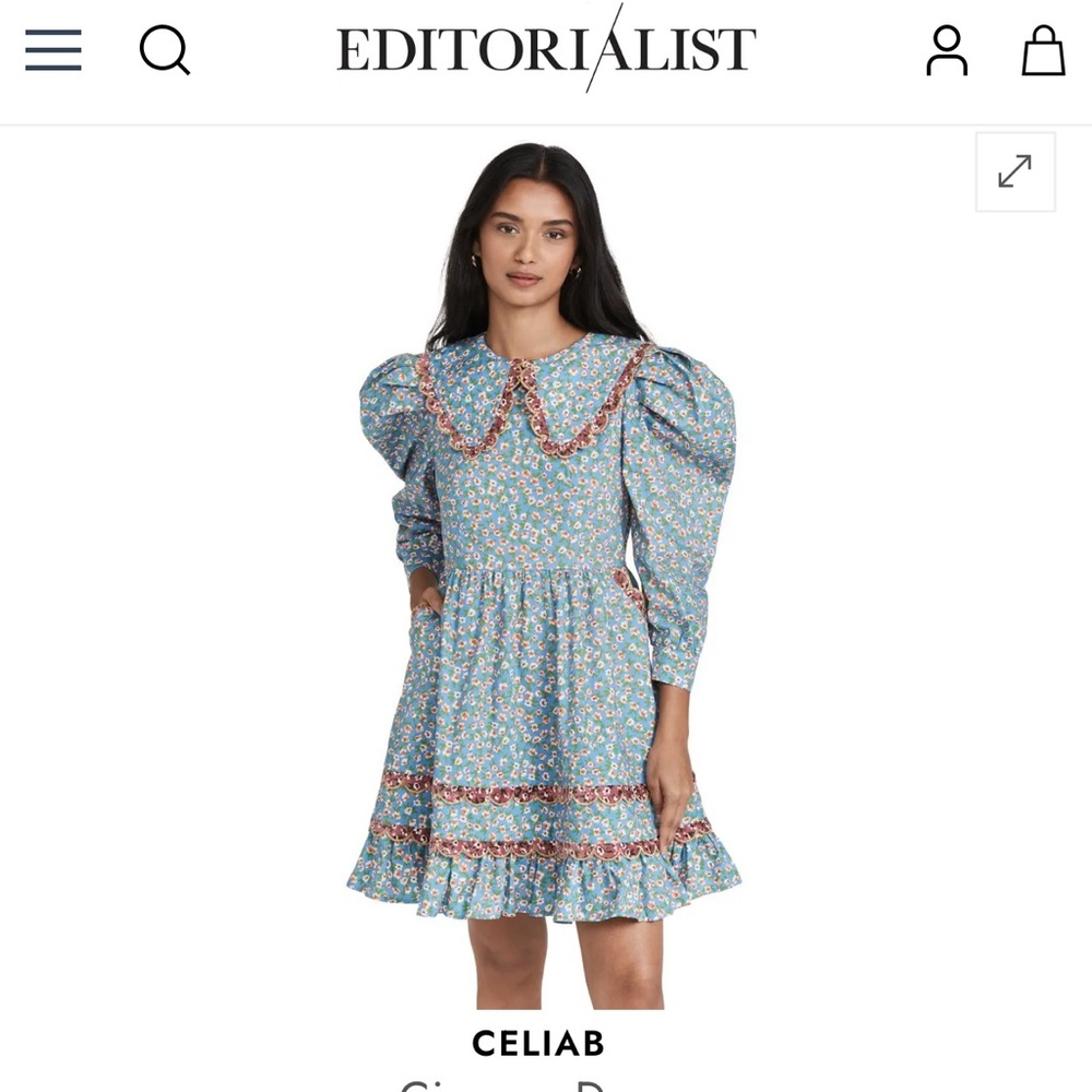 Celia B dress size medium